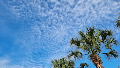 Department Store «Saks OFF 5TH», reviews and photos, 5709 Factory Shops Blvd, Ellenton, FL 34222, USA