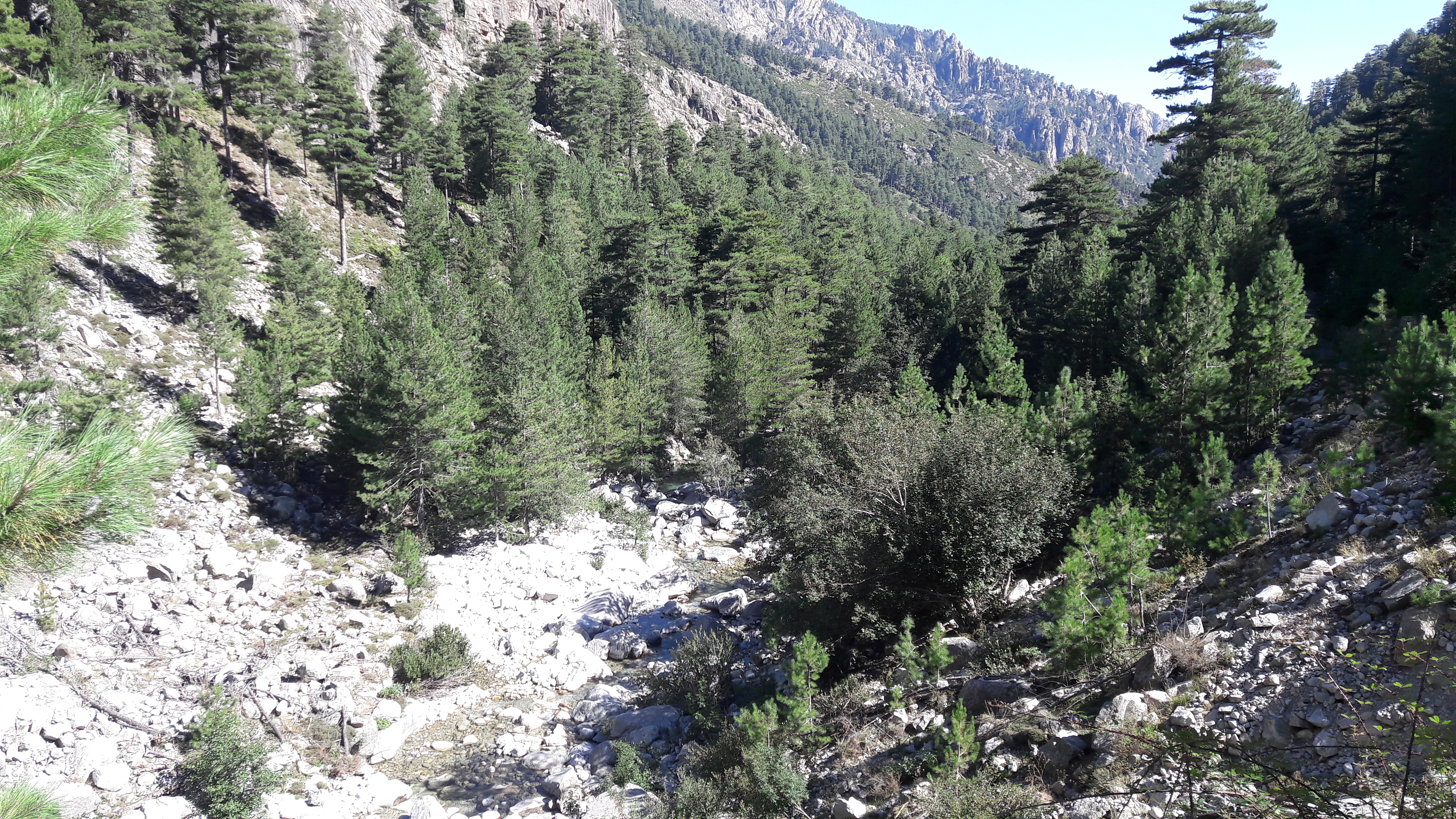 Photo n° 3 de l'avis de Cerezo.a fait le 02/09/2018 à 14:47