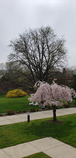 Museum «Cranbrook Art Museum», reviews and photos, 39221 Woodward Ave, Bloomfield Hills, MI 48303, USA