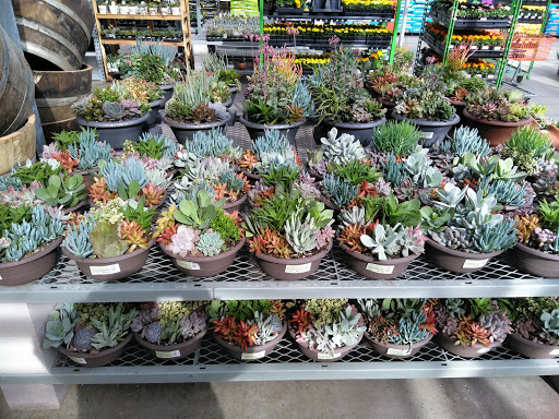 Home Improvement Store «The Home Depot», reviews and photos, 1489 N Dysart Rd, Avondale, AZ 85323, USA