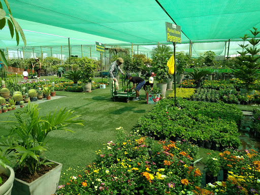 Gardening courses Arequipa