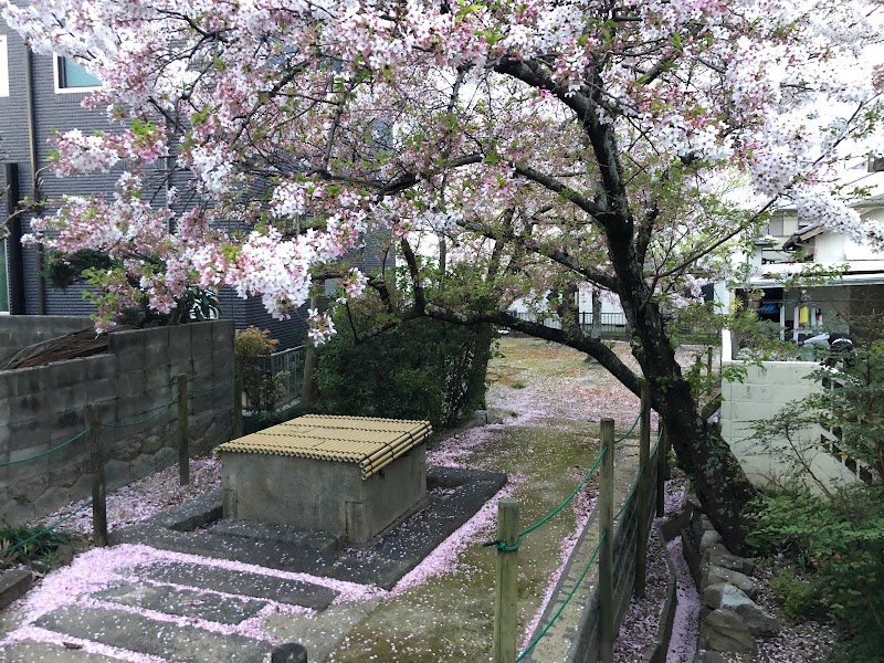 桜井戸跡