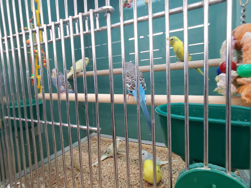 Pet Supply Store «Pet Supplies Plus», reviews and photos, 471 Boston Post Rd, Orange, CT 06477, USA