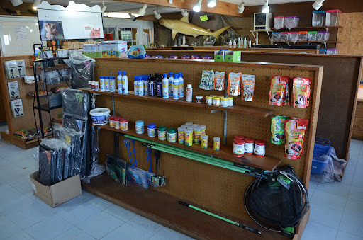 Pet Store «Night Stalkers Pet Emporium», reviews and photos, 5008 Madison Ave, Anderson, IN 46013, USA