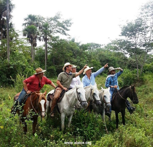 Ecoturismo Y Aventuras De Mexico