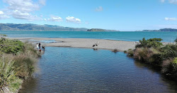 Photo de Petone Beach protégé par des falaises