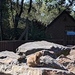 Photo n° 15 de l'avis de Darth.a fait le 11/08/2022 à 15:22 pour Zoo de Jurques à Dialan sur Chaîne