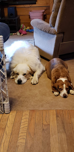 Supermarket «ALDI», reviews and photos, 1187 W High Ave, New Philadelphia, OH 44663, USA