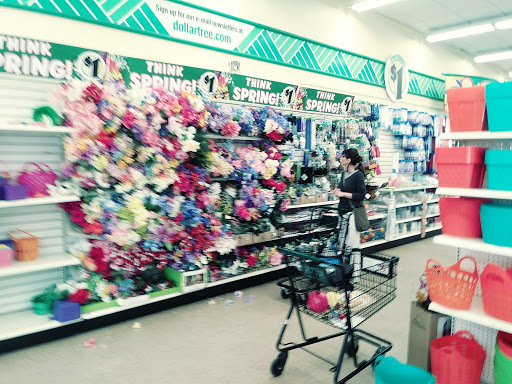 Dollar Store «Dollar Tree», reviews and photos, 2318 Monument Blvd, Pleasant Hill, CA 94523, USA
