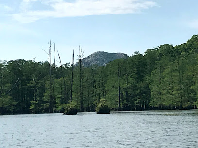 William Kirsch Preserve within Ranch North Woods