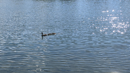 Golf Course «Lake Park Golf Course & Marina», reviews and photos, 1015 Howard Ave, Des Plaines, IL 60018, USA