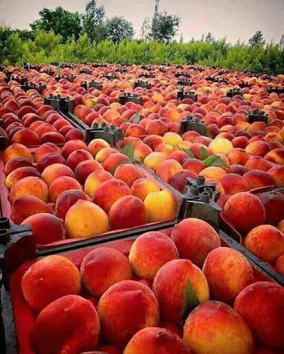 Supermarket «Altayebat Market, Inc.», reviews and photos, 1217 S Brookhurst St, Anaheim, CA 92804, USA