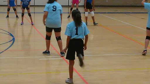 Sports Complex «Norwalk Arts & Sports Complex», reviews and photos