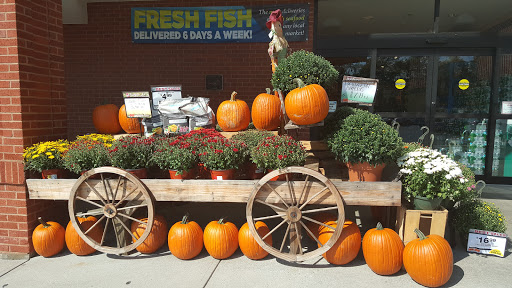 Supermarket «Big Y», reviews and photos, 141 Storrs Rd, Mansfield Center, CT 06250, USA