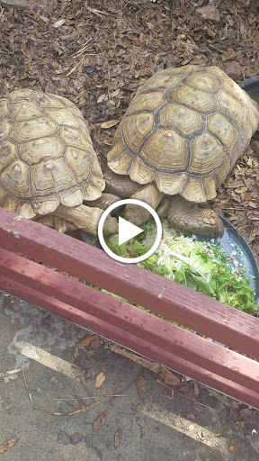 Pet Store «Fish-N-Pets Unlimited», reviews and photos, 11710 Bissonnet St, Houston, TX 77099, USA