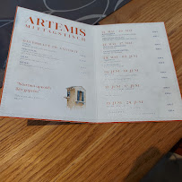 Menu du Restaurant Taverna Artemis à Schleswig