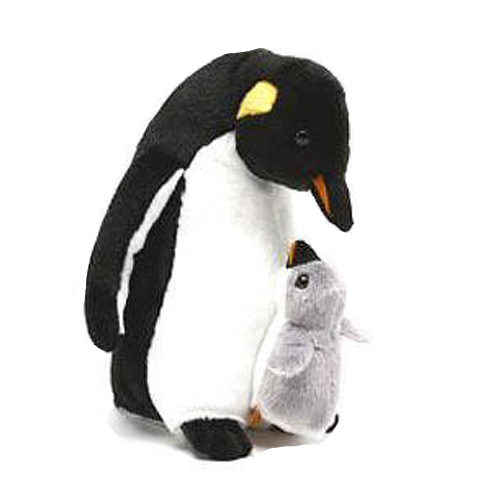 Gift Shop «Penguin Gift Shop», reviews and photos, 26 Main St, Northampton, MA 01060, USA