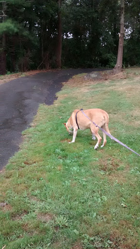 Memorial Park «Captain Stephen Olney Memorial Park», reviews and photos, Smithfield Rd, North Providence, RI 02904, USA