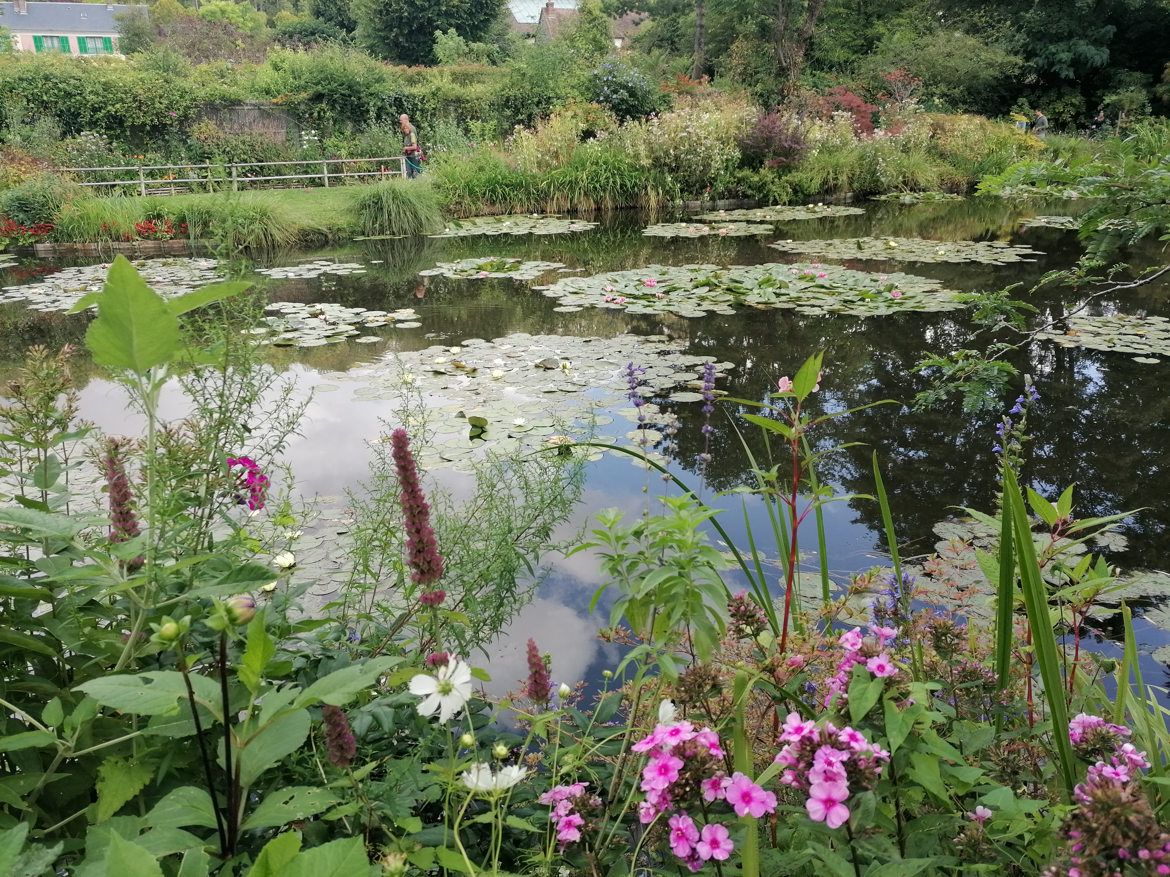 Photo n° 1 de l'avis de Sil.e fait le 29/08/2023 à 15:53