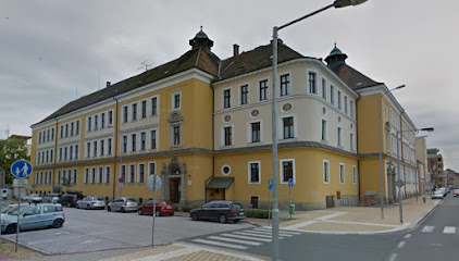 Základní škola Waldorfská Pardubice, Gorkého 867