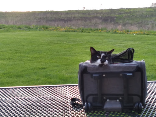 Park «Redmond Park», reviews and photos, 545 John St, Bensenville, IL 60106, USA