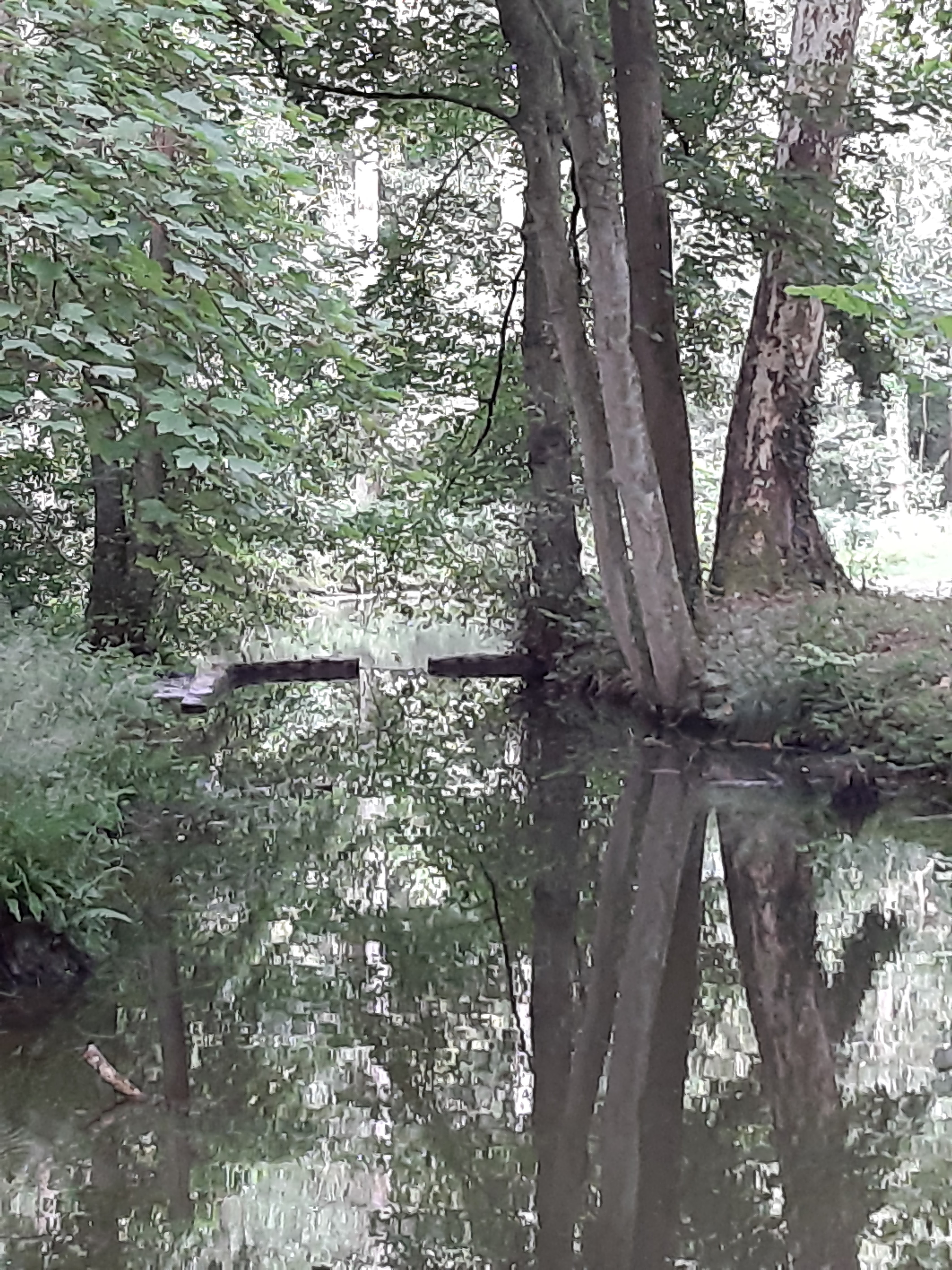 Photo n° 3 de l'avis de Sophie.H fait le 03/08/2019 à 08:46