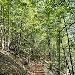 Photo n°1 de l'avis de Nina.a fait le 13/08/2023 à 16:06 sur le  Albergo Ristorante Pizzeria Bar Del Brenta Srl à Molveno