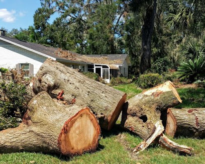 A to Z Tree Service