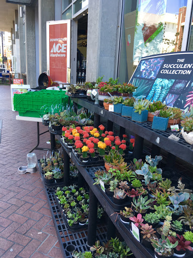 Hardware Store «Downtown Ace Hardware», reviews and photos, 675 Sixth Ave, San Diego, CA 92101, USA