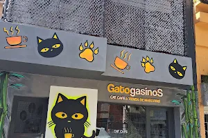 Gatogasinos Cat Café image