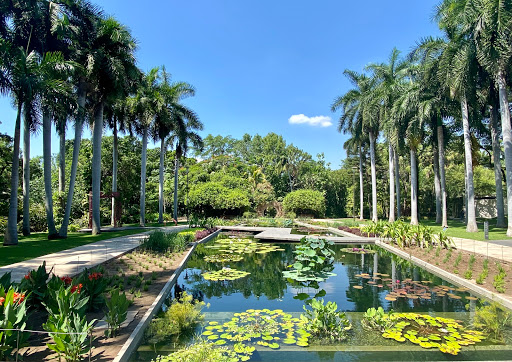 Jardín botánico Culiacán Rosales