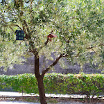 Photo n°1 de l'avis de Dario.i fait le 31/07/2022 à 13:43 sur le  Ristoro Fontanazze à Guia