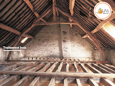 SAPA 40 Traitement Bois Termites Xylophages Frelons Guêpes à Mont-de-Marsan