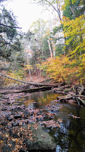 Nature Preserve «Mianus River Gorge Preserve», reviews and photos, 167 Mianus River Rd, Bedford, NY 10506, USA