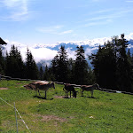 Photo n°3 de l'avis de Roberto.o fait le 07/08/2017 à 18:16 sur le  Pertinger Alm à Terenten