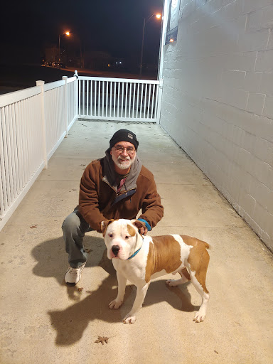 Animal Shelter «South Suburban Humane Society», reviews and photos