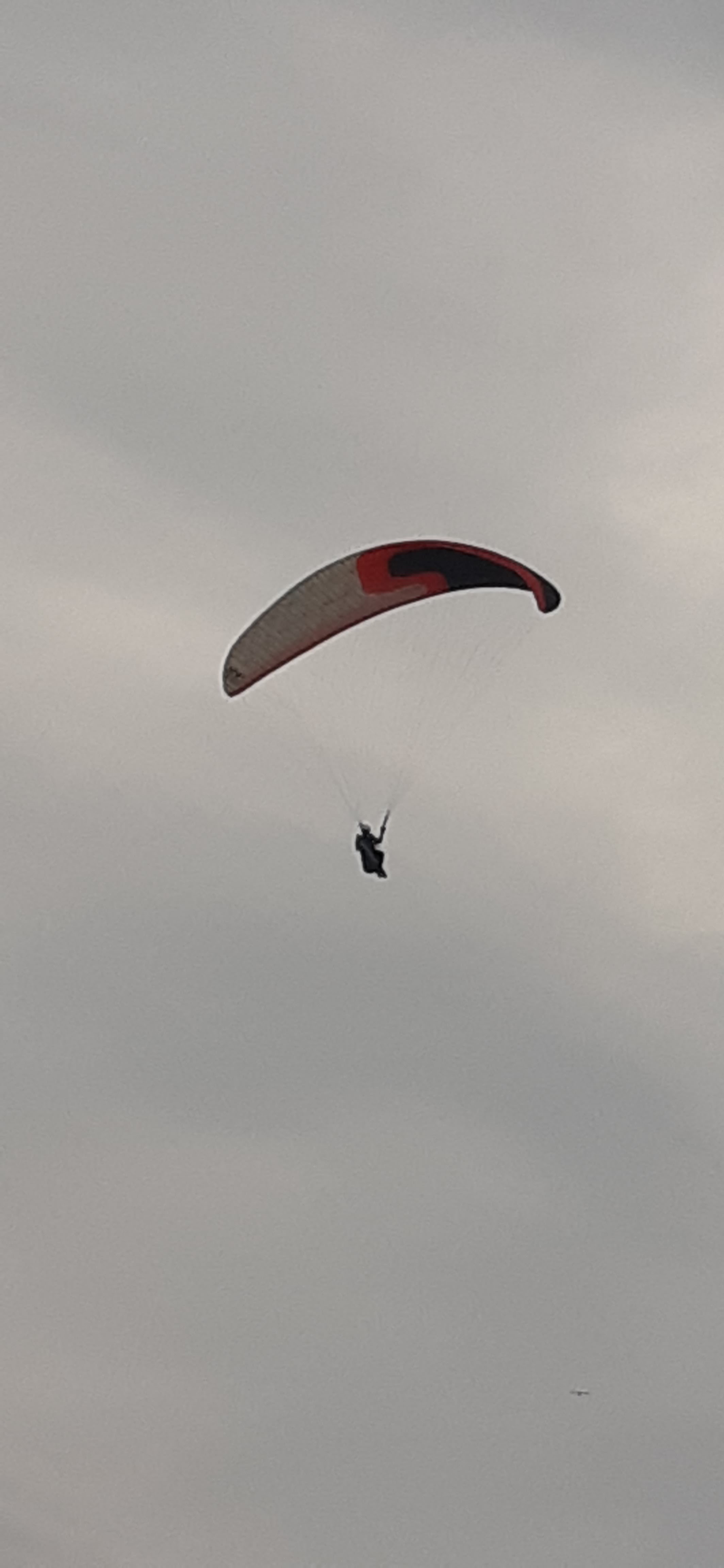 Photo n° 3 de l'avis de Luc.h fait le 27/08/2019 à 18:17