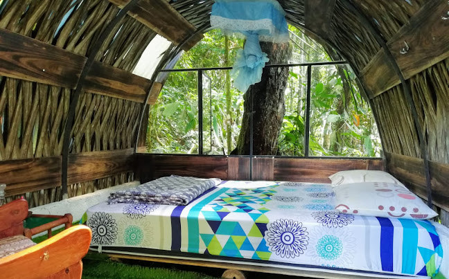 Opiniones de Jungle Roots Glamping en Pano - Camping
