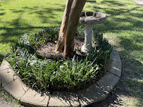 ABC Home & Commercial Services - Photo 6 - Car repair in Houston, TX, Houston