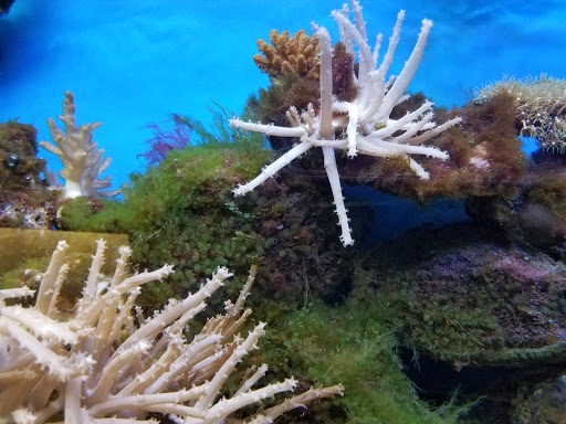 Pet Store «Pet World Warehouse Outlet», reviews and photos, 2984 S 108th St, Milwaukee, WI 53227, USA