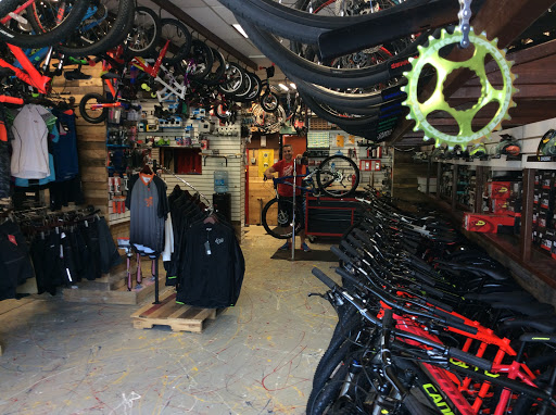 Bicycle Store «Sierra Cycles», reviews and photos, 400s Central Park Ave, Scarsdale, NY 10583, USA