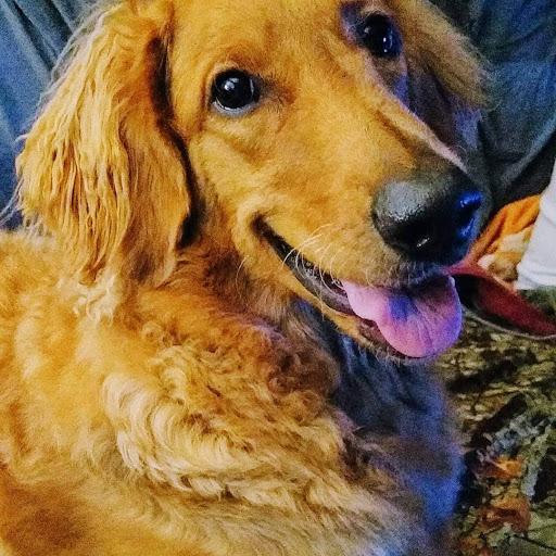 North Knox Veterinary Clinic image