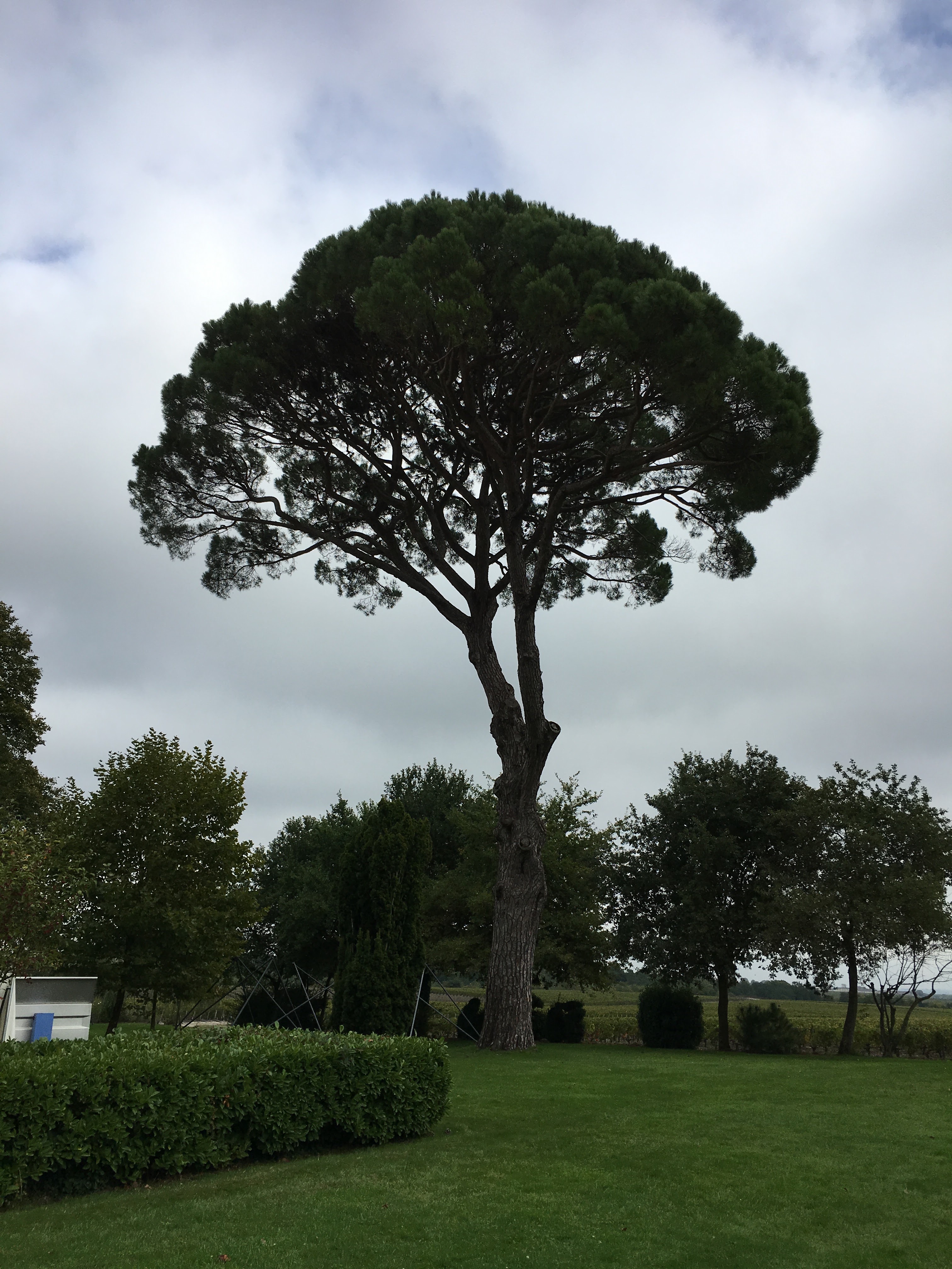 Photo n° 7 de l'avis de Philip.h fait le 30/09/2019 à 02:47