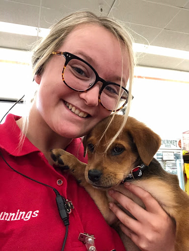 Department Store «Runnings of Brockport», reviews and photos, 4828 Lake Rd N, Brockport, NY 14420, USA