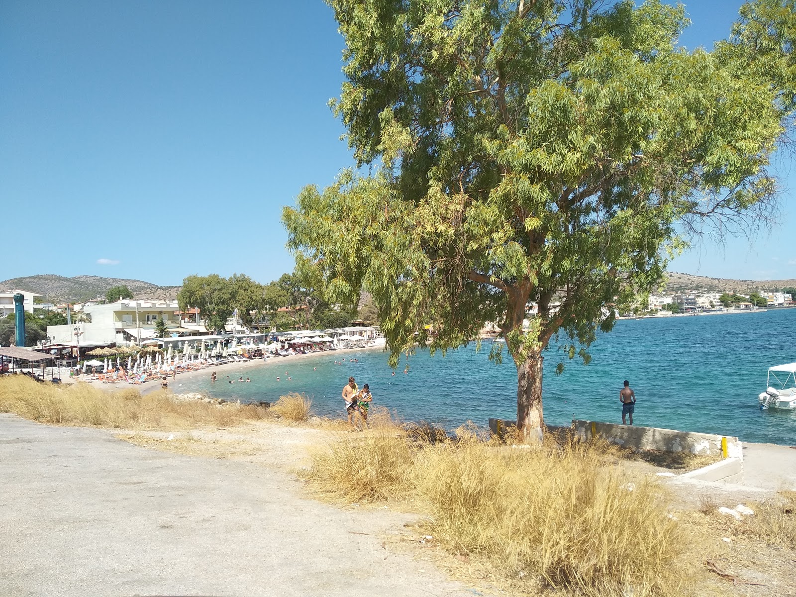 Foto di Selinia beach con una superficie del sabbia nera e ciottoli