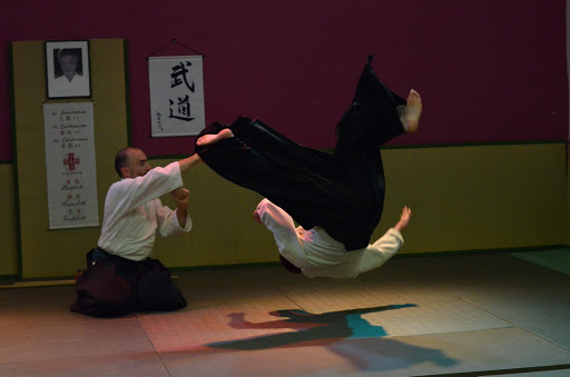 Académie d'Aikido de Lyon