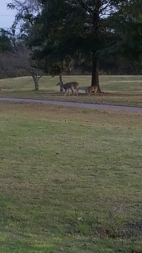 Golf Driving Range «Riverside Golf Center», reviews and photos, 640 Old Hickory Blvd, Old Hickory, TN 37138, USA