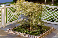 Greca Landscaping and Design - Photo 8 - Car repair in , North Charleston