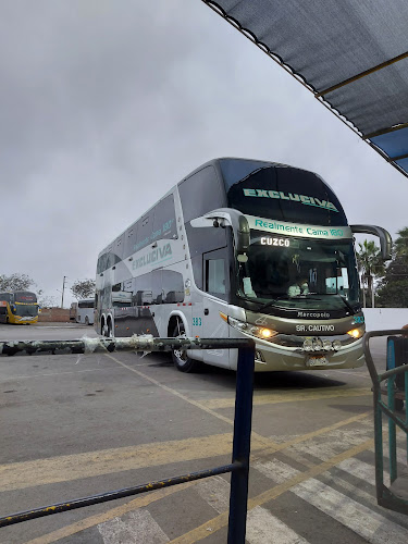 Opiniones de Terminal Terrestre Atocongo en San Juan de Miraflores - Servicio de taxis