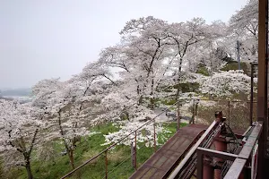 Funaoka Castle (Thousand cherry blossoms at first sight) image